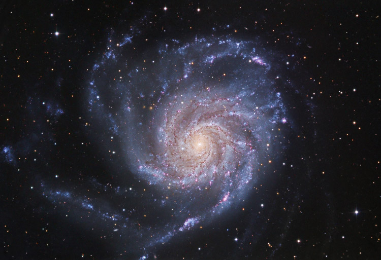 M101