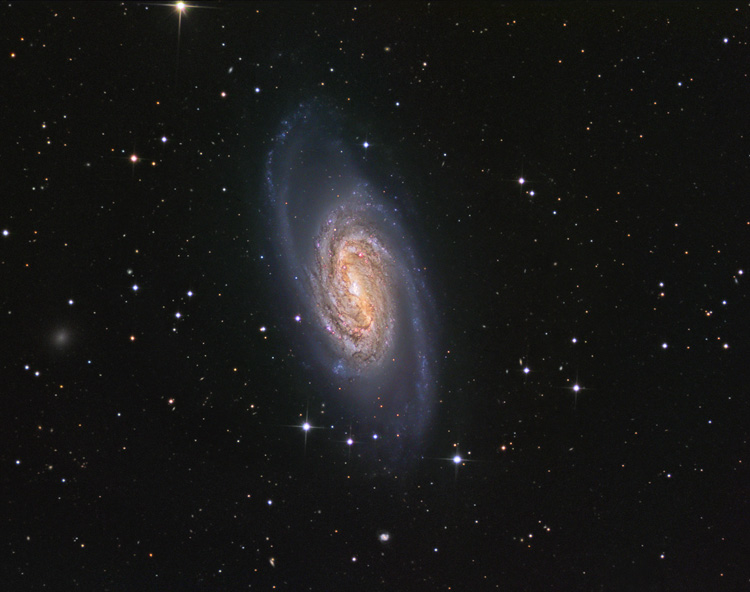 NGC2903